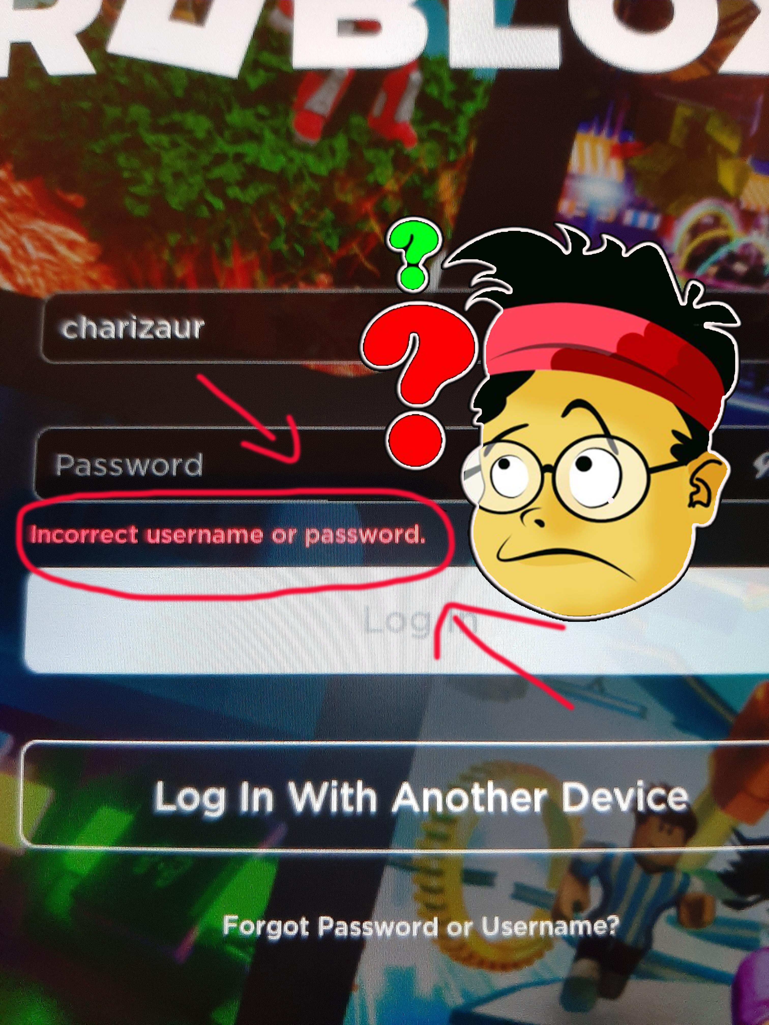 Chính Sách Bảo Hành